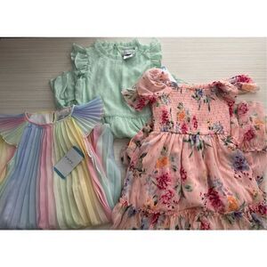 Rare Editions Girls Chiffon Ruffled Sleeve Lined Skirt Dress, Bundle of 3, size
